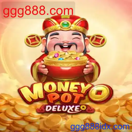 MoneyPotDELUXE